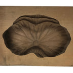 Japanese Wood Carved Kashigata Cake Mold Vtg Sweet Wagashi Lotus Leaf Kg576