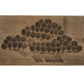 Japanese Wood Carved Kashigata Cake Mold Vtg Sweet Wagashi Matsu Pine Tree Kg614