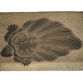 Japanese Wood Carved Kashigata Cake Mold Vtg Sweet Wagashi Minogame Turtle Kg771