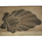 Japanese Wood Carved Kashigata Cake Mold Vtg Sweet Wagashi Minogame Turtle Kg771