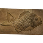 Japanese Wood Carved Kashigata Cake Mold Vtg Sweet Wagashi Tai Madai Fish Kg673