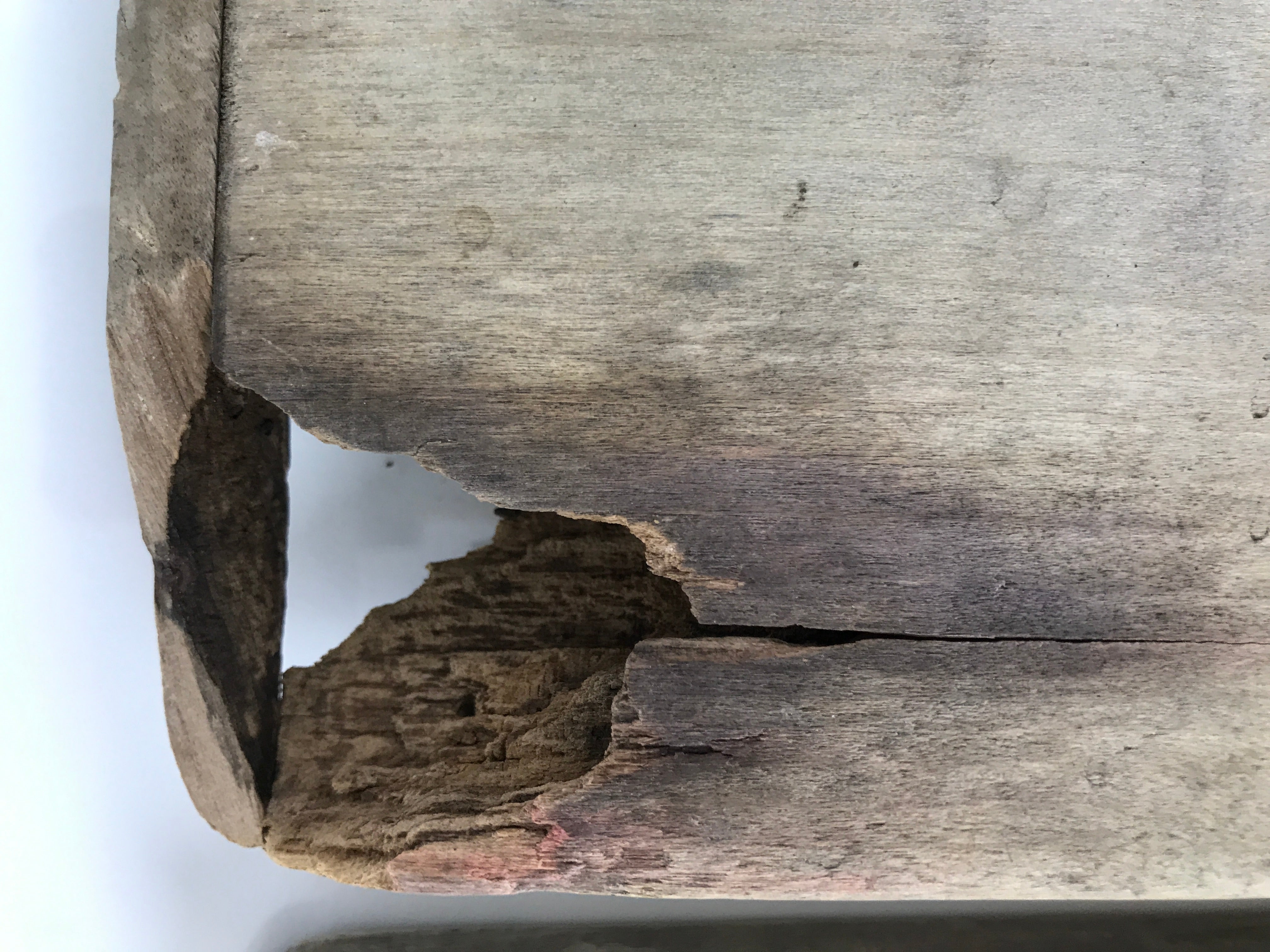 Japanese Wood Carved Kashigata Cake Mold Vtg Sweet Wagashi Tai Madai Fish Kg817