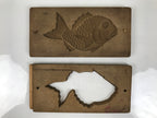 Japanese Wood Carved Kashigata Cake Mold Vtg Sweet Wagashi Tai Madai Fish Kg818
