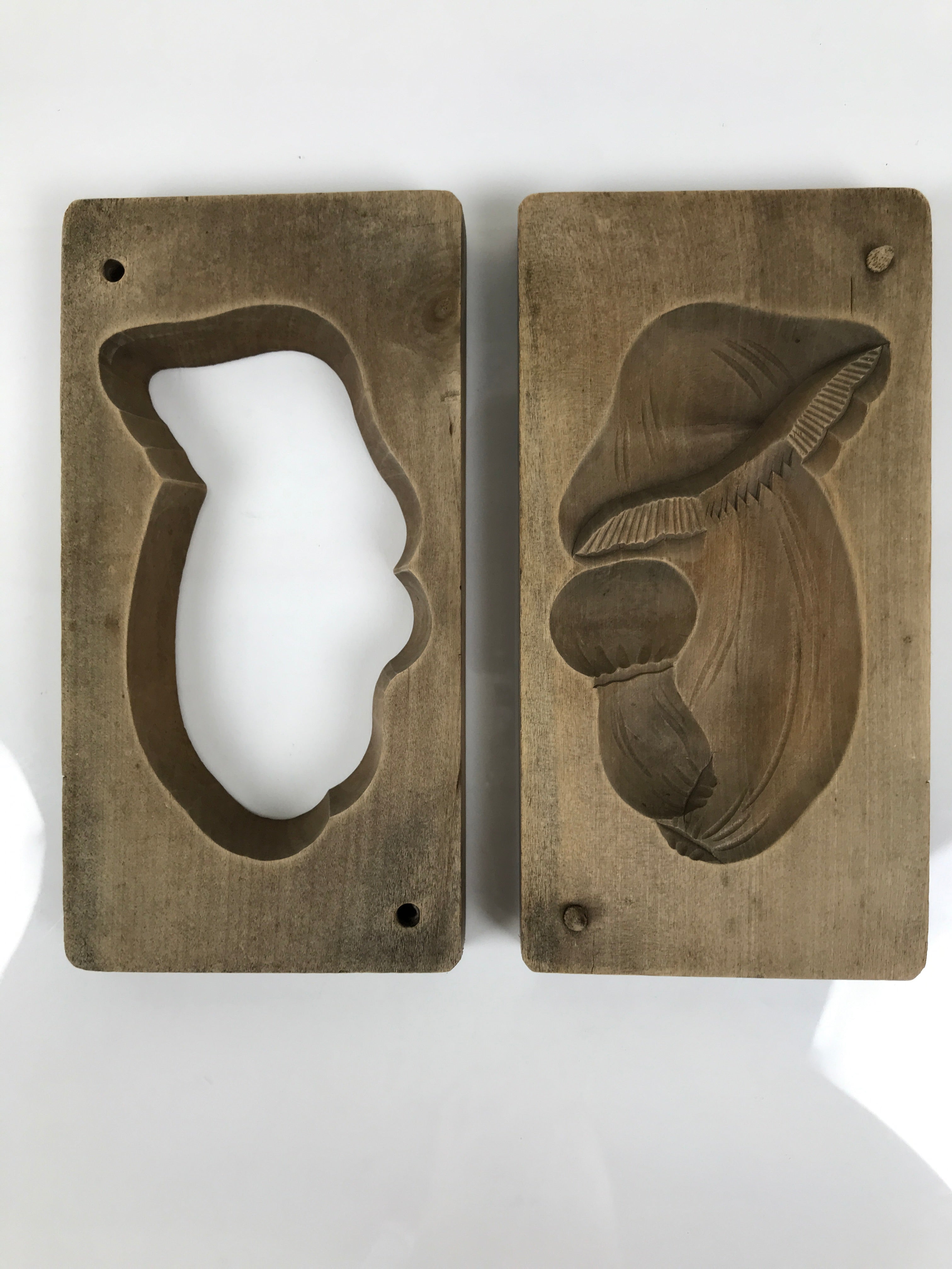 Japanese Wood Kashigata Cake Mold Sweet Wagashi Kinoko Matsutake Mushroom Kg782