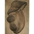 Japanese Wood Kashigata Cake Mold Sweet Wagashi Kinoko Matsutake Mushroom Kg782