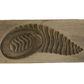 Japanese Wood Kashigata Cake Mold Vtg Sweet Wagashi Takenoko Bamboo Shoot Kg773