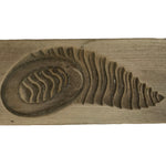 Japanese Wood Kashigata Cake Mold Vtg Sweet Wagashi Takenoko Bamboo Shoot Kg773