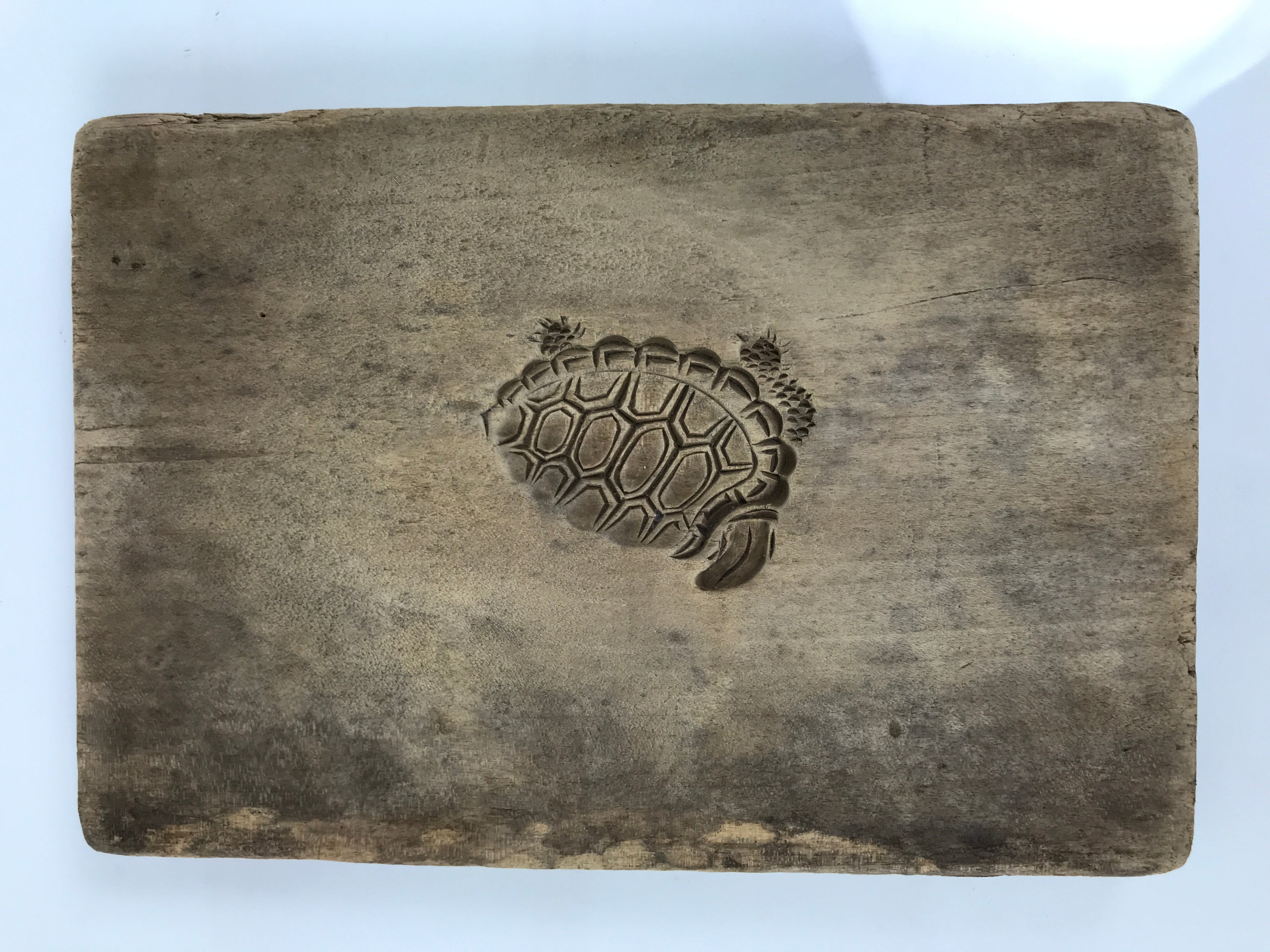 Japanese Wood Kashigata Cake Mold Vtg Sweets Wagashi Minogame Turtle Kame Kg779