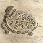 Japanese Wood Kashigata Cake Mold Vtg Sweets Wagashi Minogame Turtle Kame Kg779