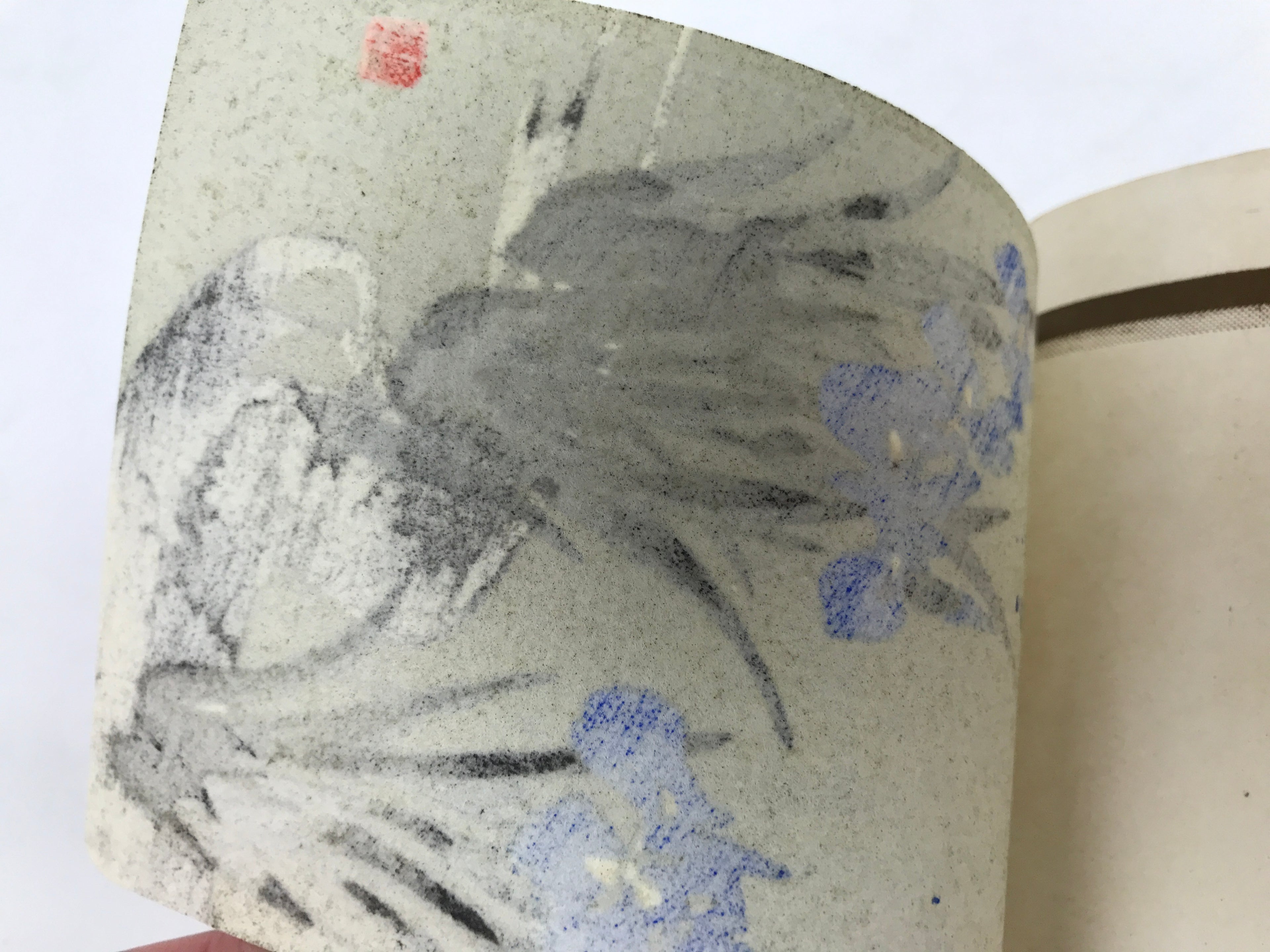 Japanese Woodblock Print Paper Card Vtg Blue Iris Flower Ayame Gold Black P382