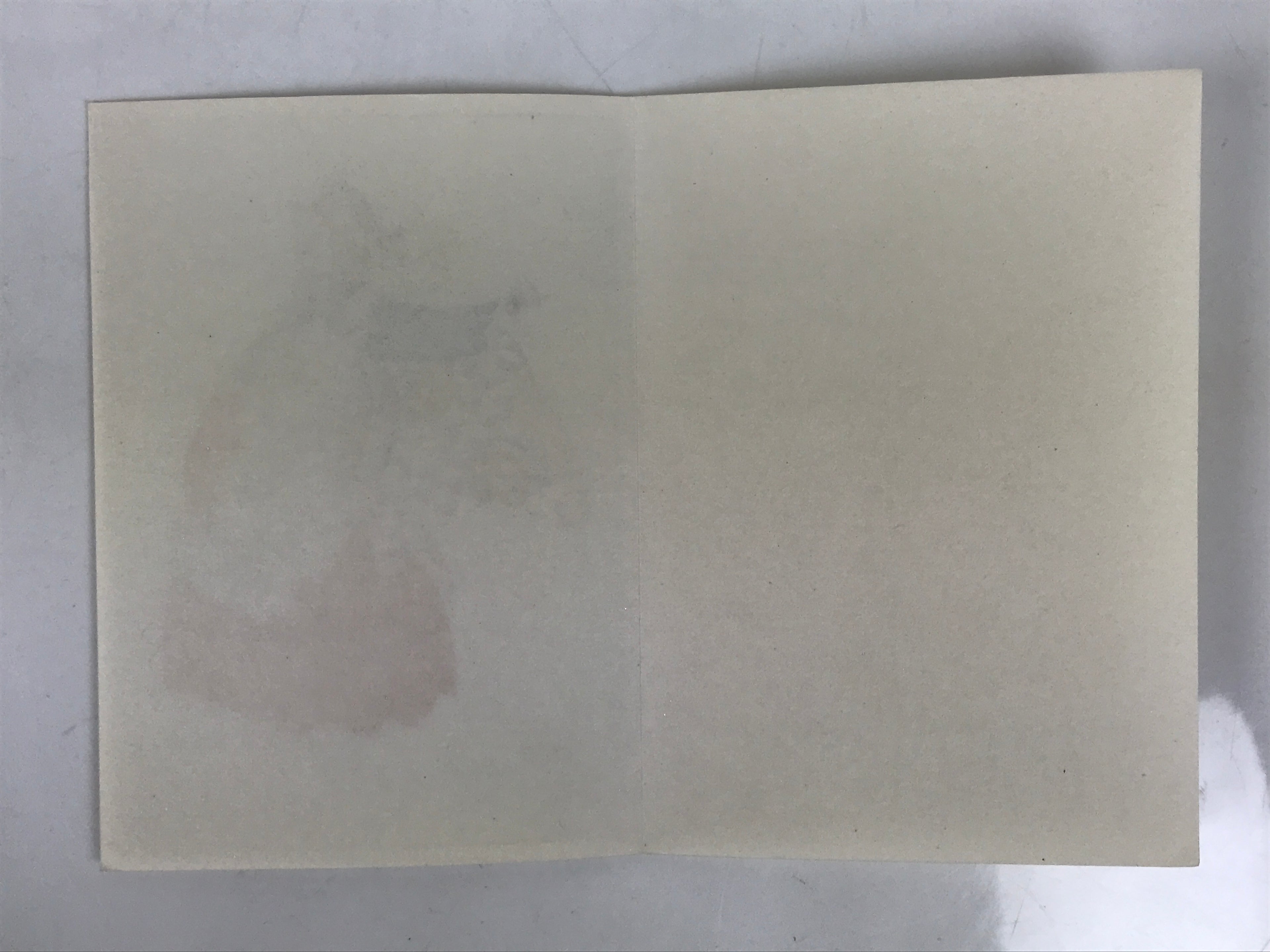 Japanese Woodblock Printed Reproduction Vtg Kogyo Tsukioka Ama Noh Theatre P377
