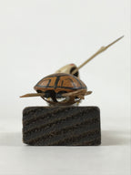 Japanese Wooden Bobbling Figurine Turtle Crane Vtg Kame Tsuru Decoration KF668