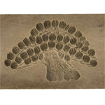 Japanese Wooden Carved Kashigata Cake Mold Vtg Sweet Wagashi Matsu Pine Kg627