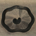 Japanese Wooden Carved Kashigata Cake Mold Vtg Sweet Wagashi Poppy Flower Kg457