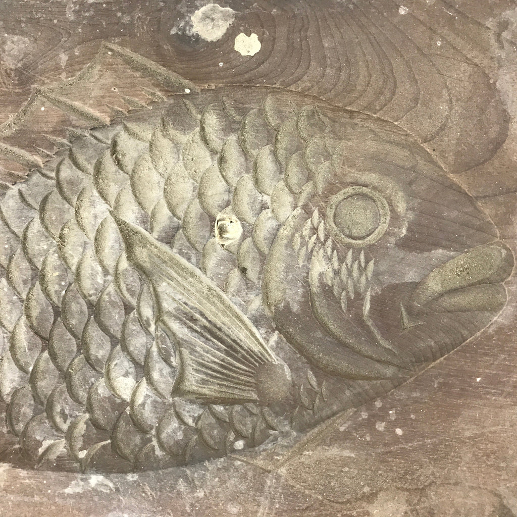 Japanese Wooden Carved Kashigata Cake Mold Vtg Sweet Wagashi Tai Fish Kg507
