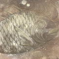 Japanese Wooden Carved Kashigata Cake Mold Vtg Sweet Wagashi Tai Fish Kg507