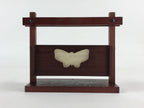 Japanese Wooden Display Box Wall Table Mount Butterfly Brown Brush Lacquer LWB55