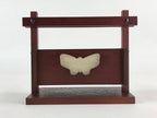 Japanese Wooden Display Box Wall Table Mount Butterfly Brown Brush Lacquer LWB55