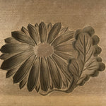 Japanese Wooden Kashigata Cake Mold Vtg Sweet Wagashi Chrysanthemum Kiku Kg639