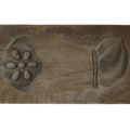 Japanese Wooden Kashigata Cake Mold Vtg Sweet Wagashi Lotus Root Renkon Kg776