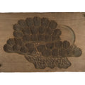 Japanese Wooden Kashigata Cake Mold Vtg Sweet Wagashi Pine Tree Matsu Kg684