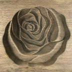 Japanese Wooden Kashigata Cake Mold Vtg Sweet Wagashi Small Rose Bara Kg724