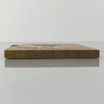 Japanese Wooden Shinto Ema Plaque Vtg Decorative White Horse Joeiji Temple EM113