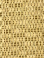 Japanese Woven Wooden Serving Tray Vtg Large Round Rattan Obon Handles L19