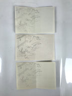 Japanese Writing Paper Set Woodblock Printed Vtg Floral Letter Stationary P374