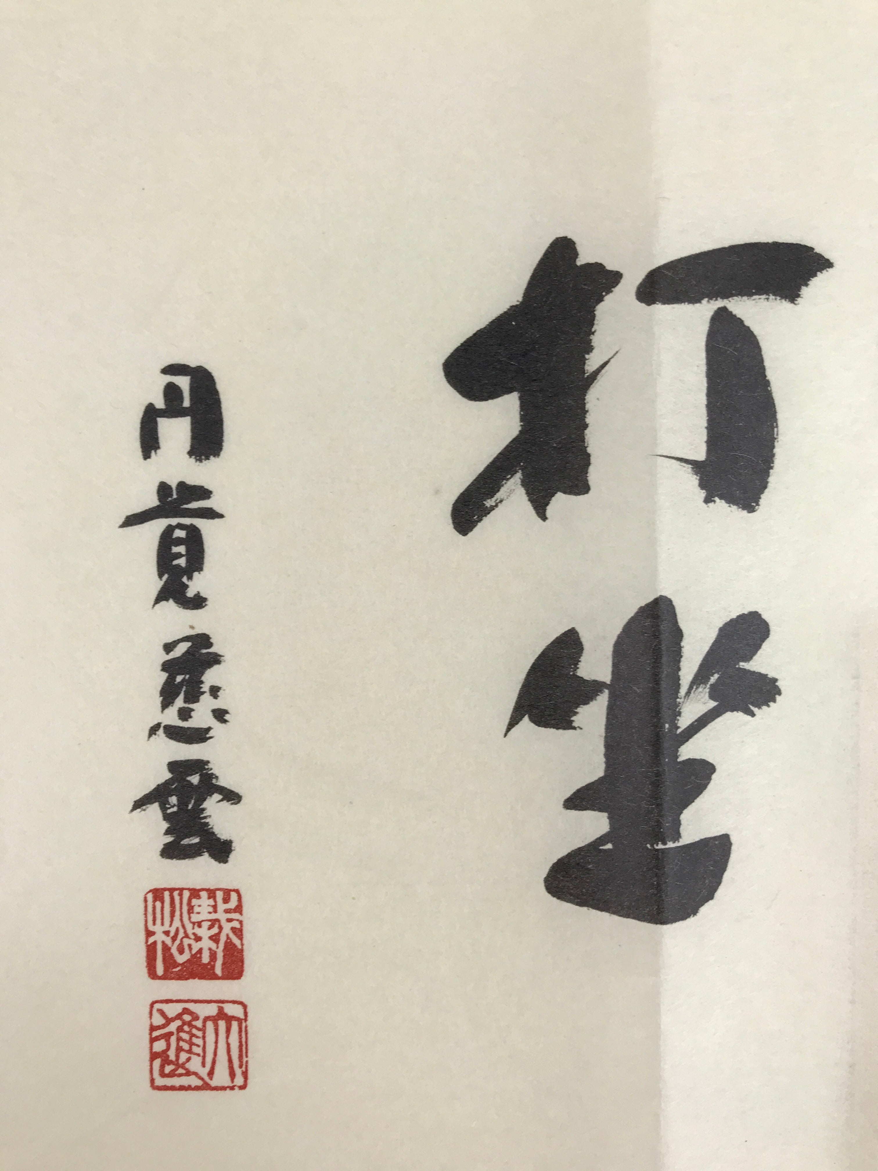 Japanese Zen Calligraphy Adashi Daishin Kan Taza Chagake Kakejiku FL357