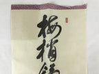 Japanese Zen Calligraphy Baishozuikiwonobu Fukutomi Settei Kakejiku FL278