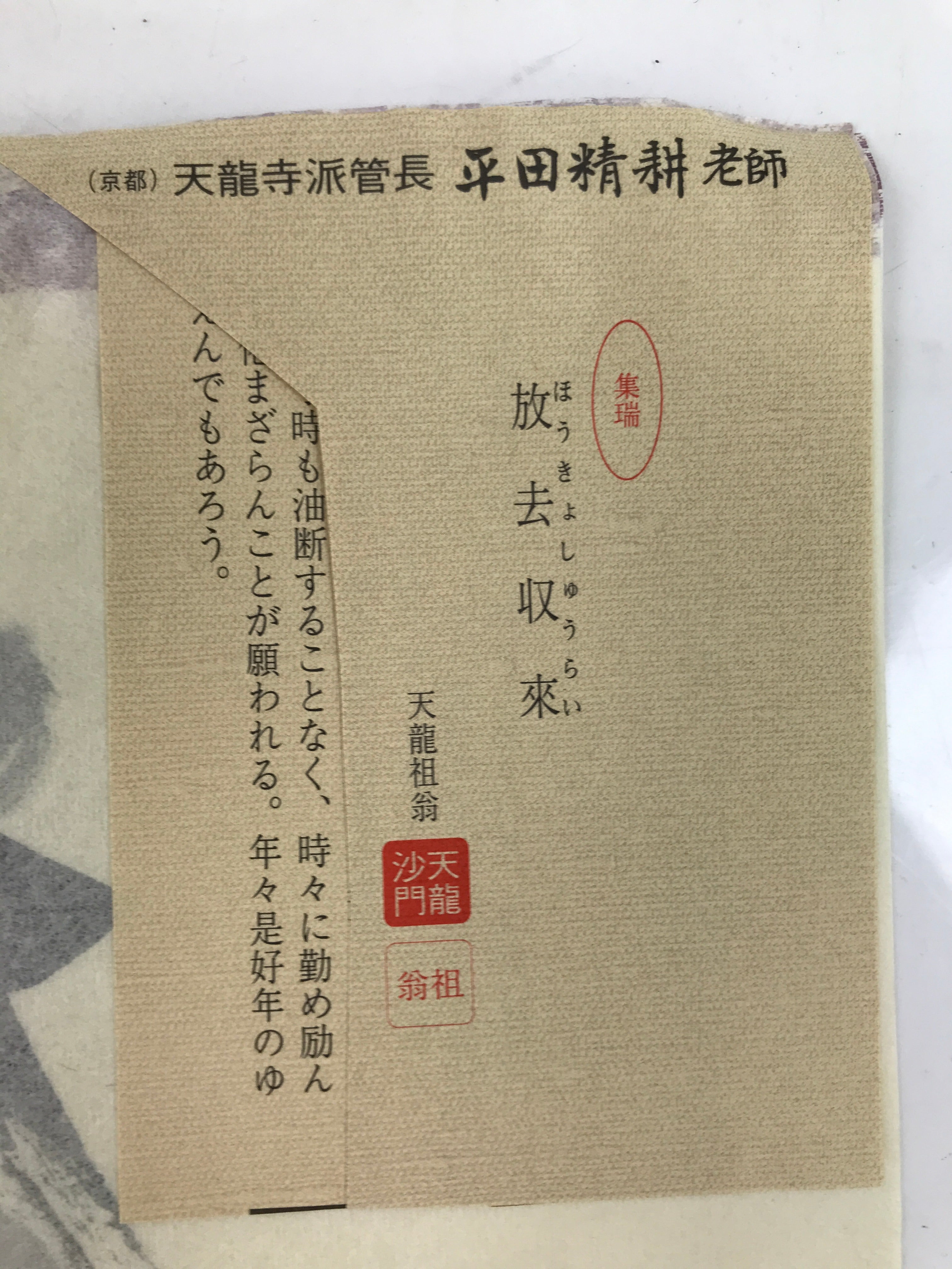 Japanese Zen Calligraphy Hirata Seiko Hokyo Shurai Chagake Kakejiku FL360