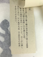 Japanese Zen Calligraphy Keido Fukushima Tsurutobukototakashi Kakejiku FL352