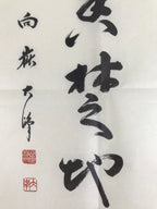 Japanese Zen Calligraphy Kogakuji Miyamoto Oomine Chagake Kakejiku Black FL354