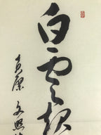 Japanese Zen Calligraphy Obaku School Rin Bunsho Chagake Kakejiku FL358