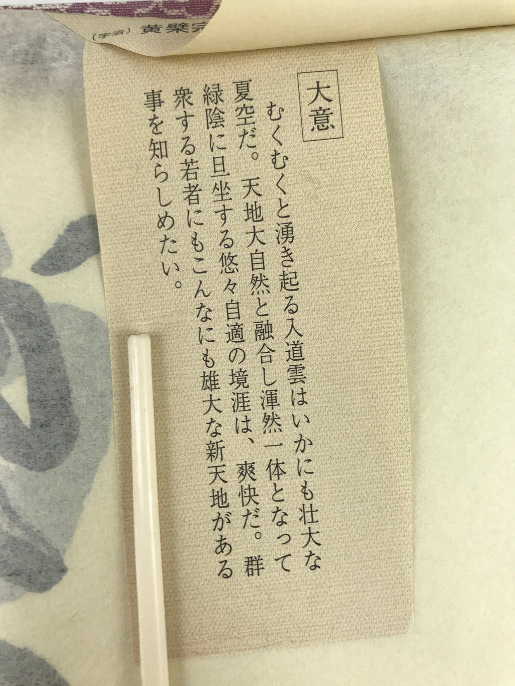 Japanese Zen Calligraphy Obaku School Rin Bunsho Chagake Kakejiku FL358