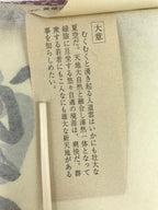 Japanese Zen Calligraphy Obaku School Rin Bunsho Chagake Kakejiku FL358