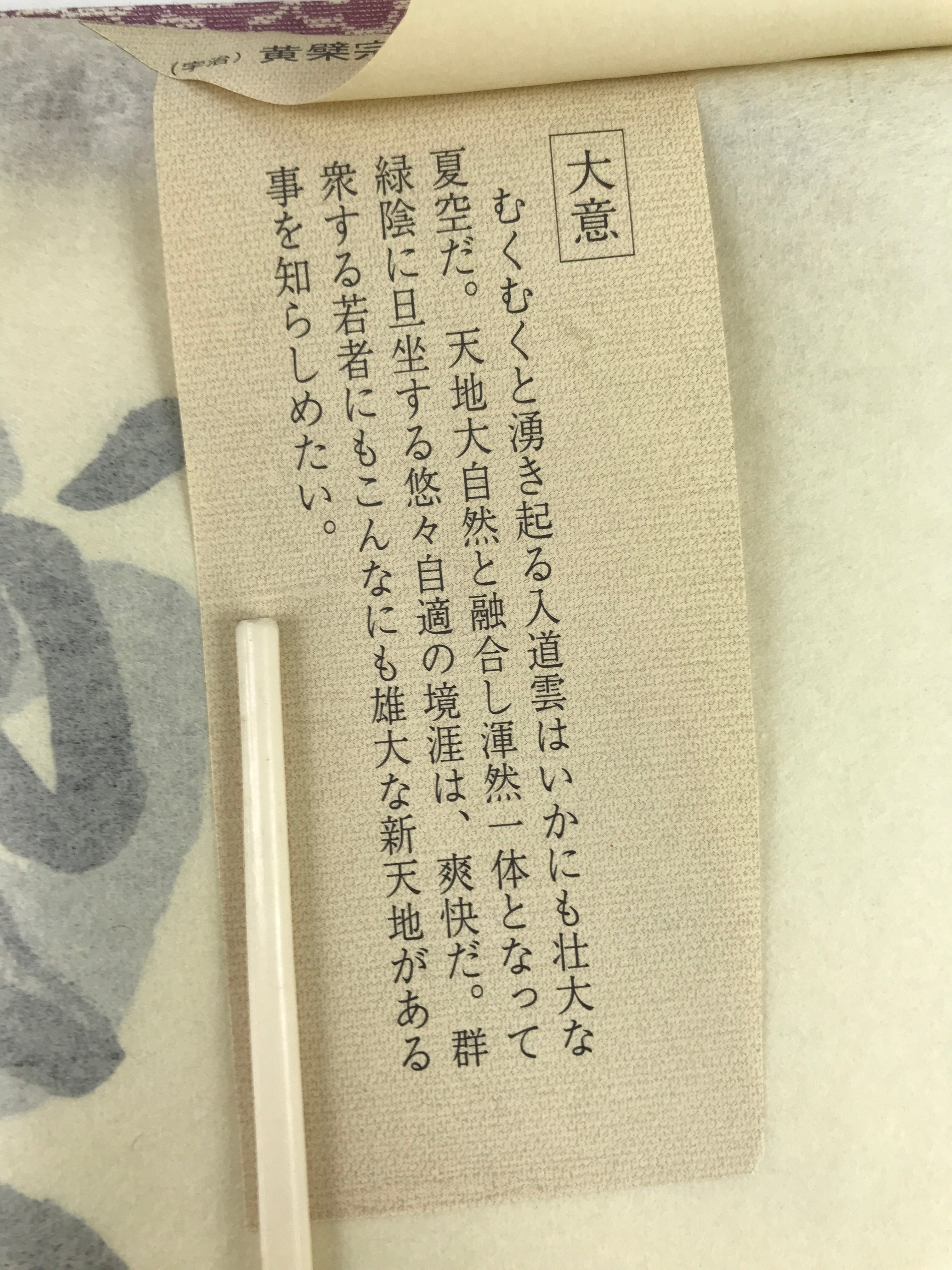 Japanese Zen Calligraphy Obaku School Rin Bunsho Chagake Kakejiku FL358