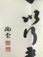 Japanese Zen Calligraphy Sokun Tsushimoto Chagake Kakejiku Black FL361