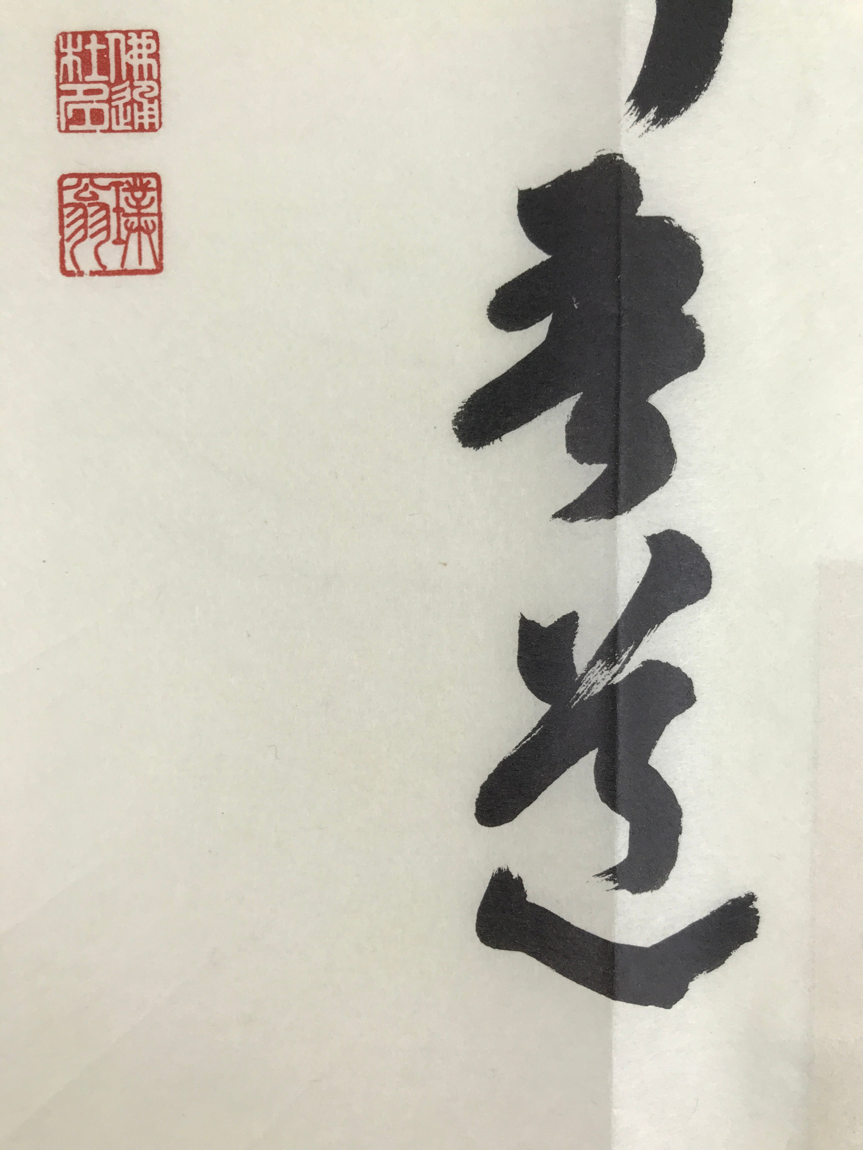 Japanese Zen Calligraphy Sokun Tsushimoto Chagake Kakejiku Black FL361
