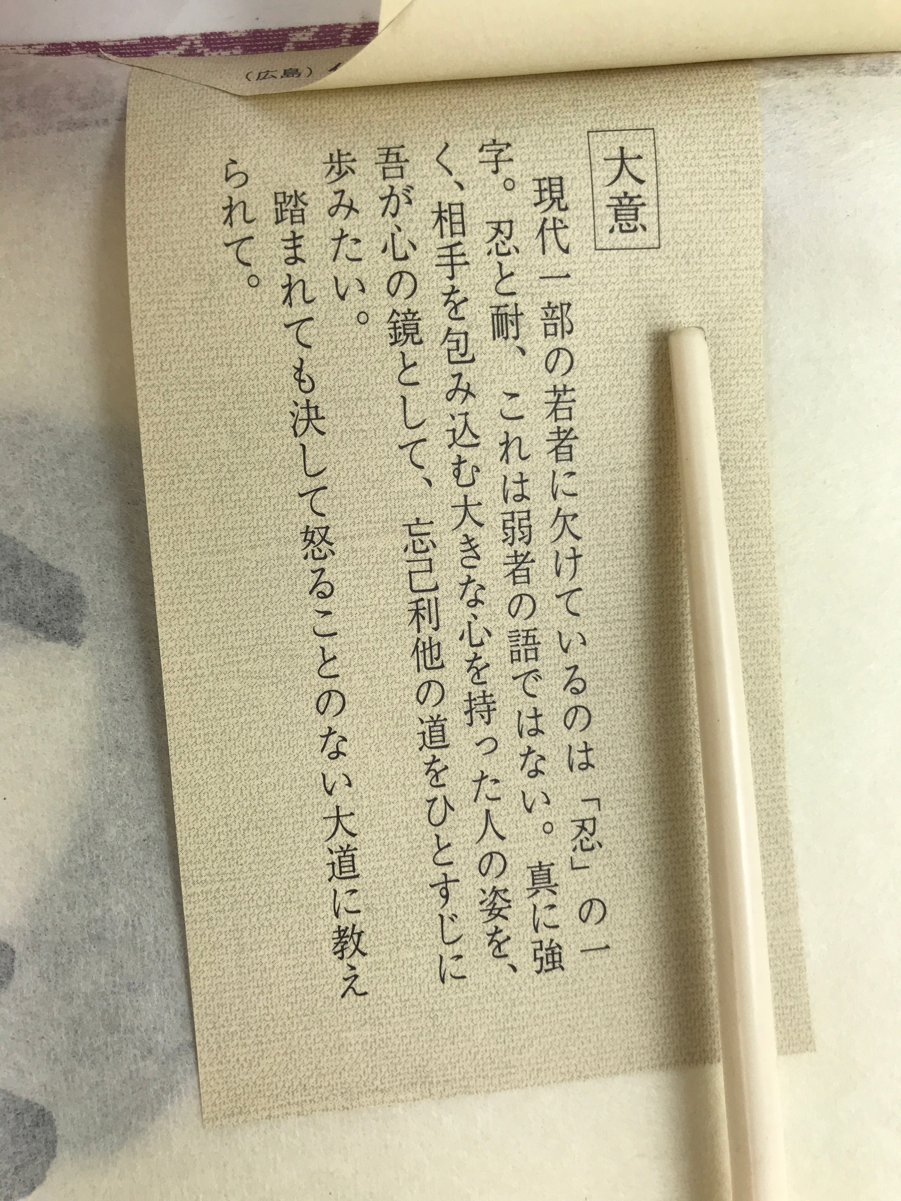 Japanese Zen Calligraphy Sokun Tsushimoto Chagake Kakejiku Black FL361