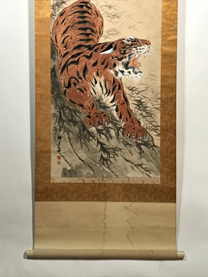 Japanese Zodiac Animal Hanging Scroll Vtg Tiger Full Moon Kakejiku SC809