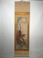 Japanese Zodiac Animal Hanging Scroll Vtg Tiger Full Moon Kakejiku SC809