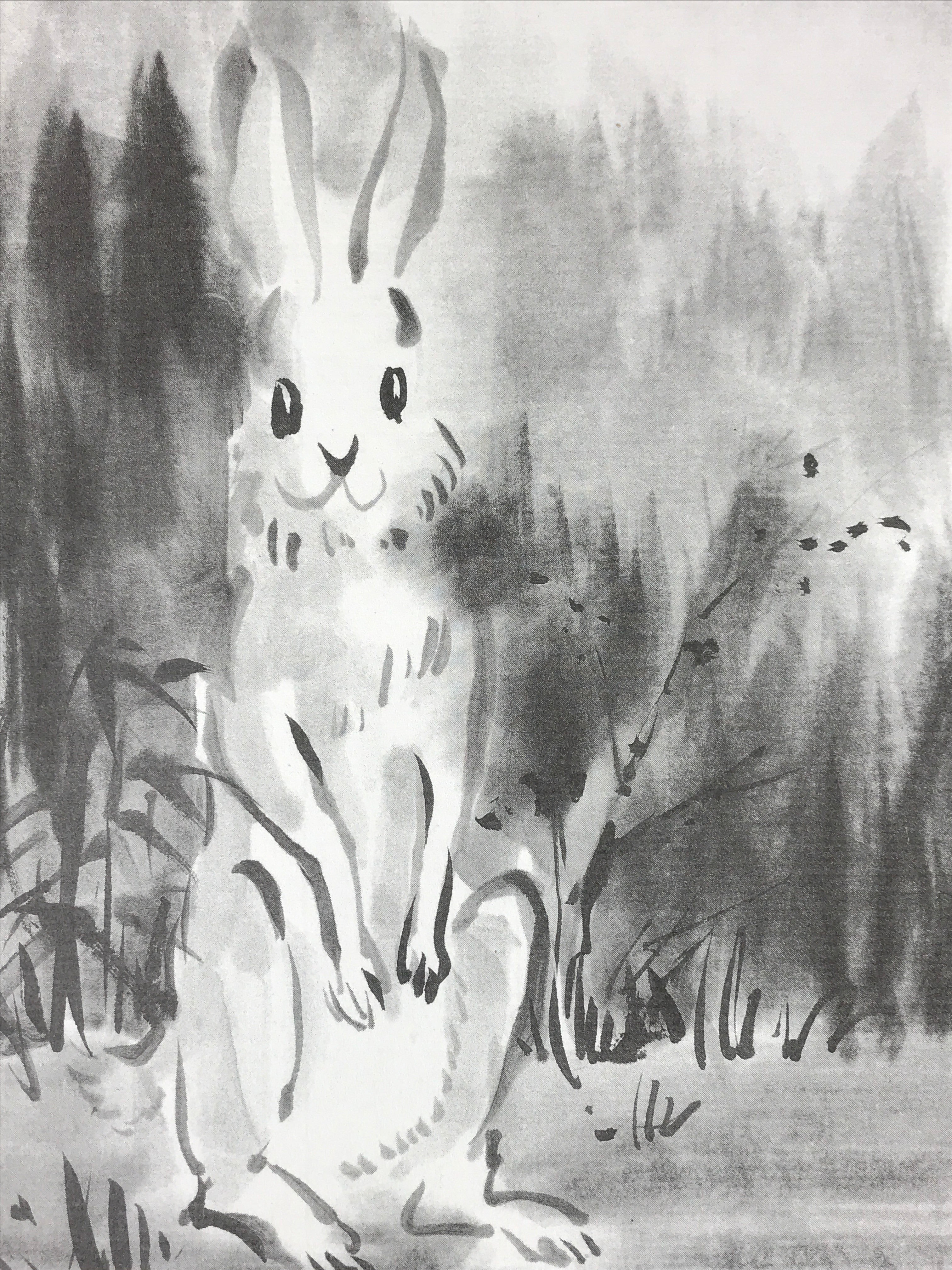 Japanese Zodiac Shikishi Art Board Painting Hare Rabbit Moonlight Monochrome A59