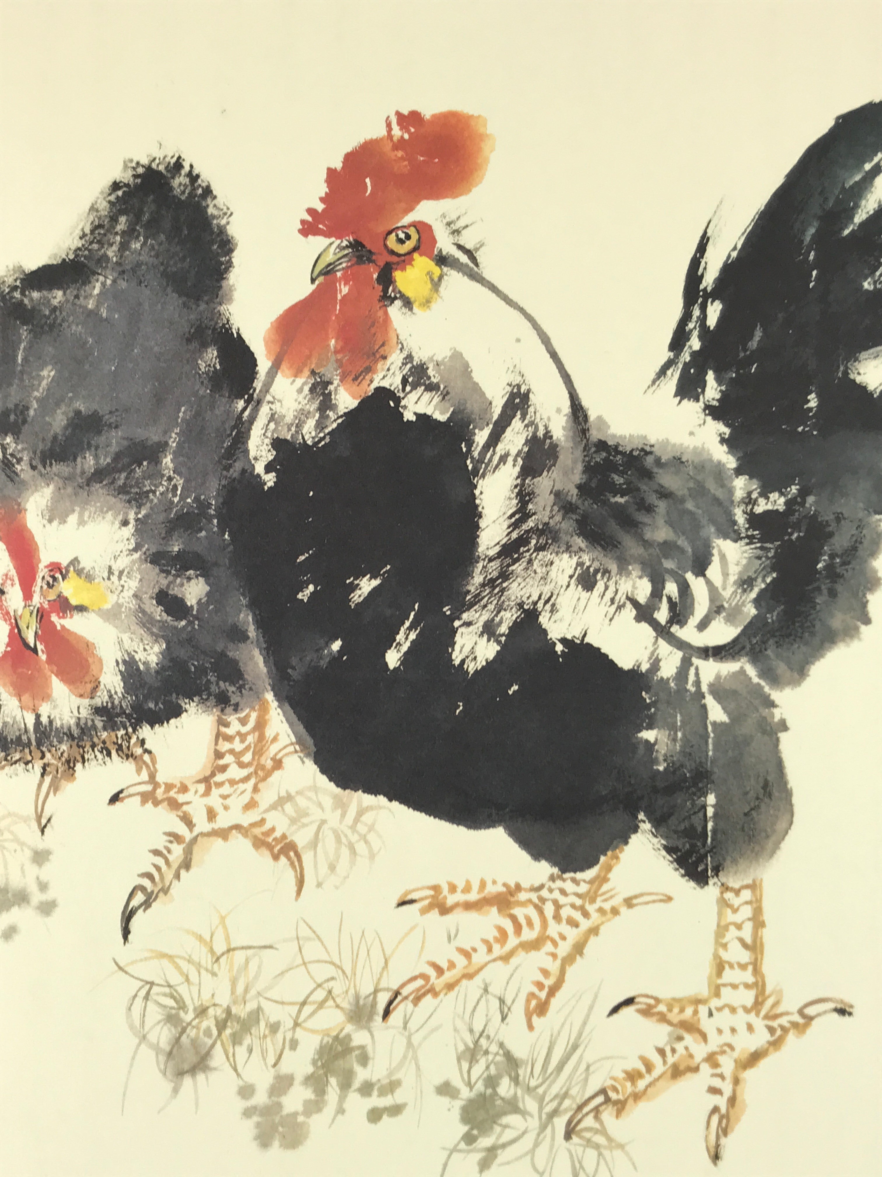 Japanese Zodiac Shikishi Art Board Reproduction Rooster Realistic Style A613