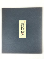 Japanese Zodiac Shikishi Art Board Vtg Oshie Zaiku Fabric Silk Craft Monkey A566