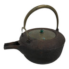 Antique Japanese Cast Iron Tetsubin Kettle Teapot Tea Ceremony Nanbu Tekki T172-KT - Kettle-chidorivintage.com