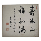Japanese Shikishi Art Board Vtg Calligraphy Shodo Kanji Word Black White A863-AD - Painting-chidorivintage.com