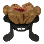 Japanese Buddhist Wooden Orin Singing Bell Stand Vtg Pillow Red Gold Flower BT45-OT - Buddhist-chidorivintage.com