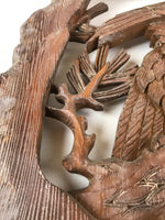 SPECIAL SHIPPING UPGRADE TO DHL FR20